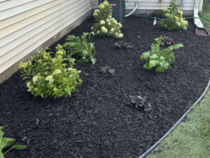 Landscape Design & Installation, New Market, MN.